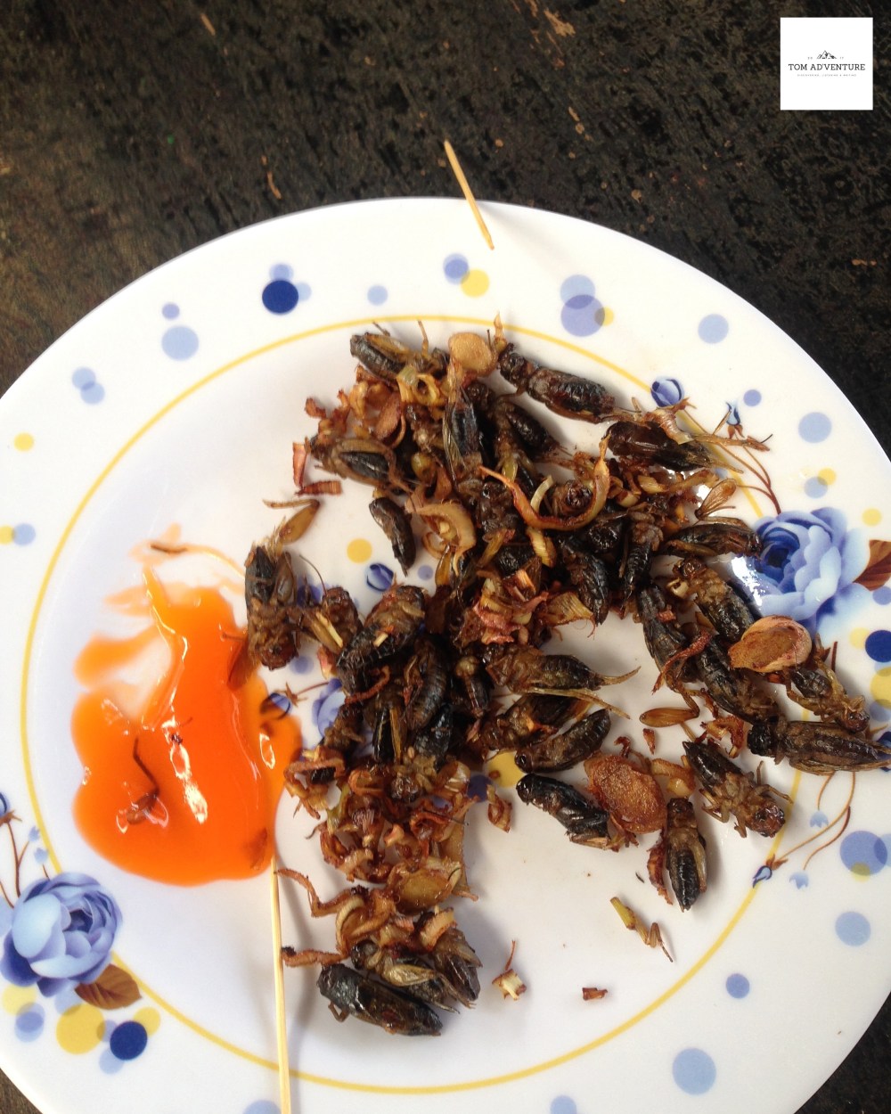 Insects to eat in Dalat