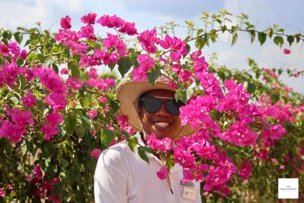 j7zTx5LlTfmfrqpJ%ZZjrw_thumb_378d