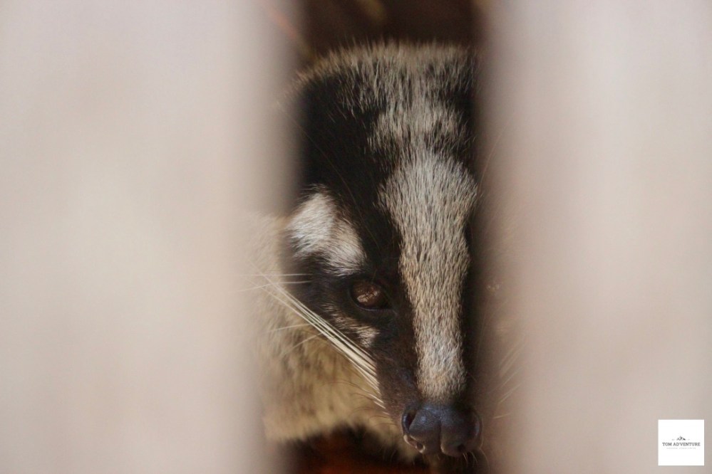 mjOrFXilR1Ow1+CUXUkP6A_thumb_3732